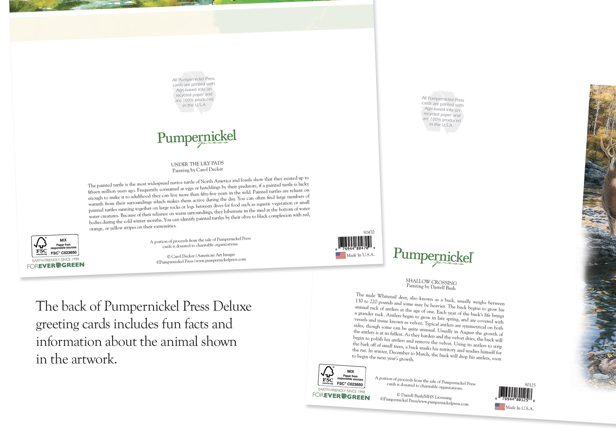 Pumpernickel Press Embossed Greeting Cards Boxed Assortment – Scenic Nature, 36 Count