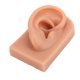 thumbnail image 5 of Modelo de oreja perforadora, práctica de perforación 3D, modelo de oreja de silicona, calidad en la que puede confiar, 5 of 8