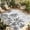 Gray, variant on Palm Trees Outdoor Rug for Patio/Deck/Porch, Non-Slip Large Area Rug 4 x 6 Ft, Green Tropical Plants Summer Forest Scenery Indoor Outdoor Rugs Washable Area Rugs, Reversible Camping Rug Carpet Runner