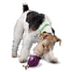 thumbnail image 1 of Dispensador de juguetes para perros PetSafe Busy Buddy Twist 'n Treat color morado, 1 of 6