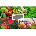 thumbnail image 5 of AMOBRO 8x4x2ft Outdoor Metal Raised Garden Bed Planter Box for Vegetables, Flowers, Herbs w/ 3 Tomato Cages Brown, 5 of 11