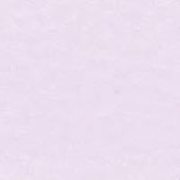 Pink Western Bow Print
