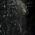 thumbnail image 4 of ADJ VF Snow Flurry HO Machine à Neige 1250 Watts avec Réservoir de Liquide Neige 2,3 Litres, 4 of 5