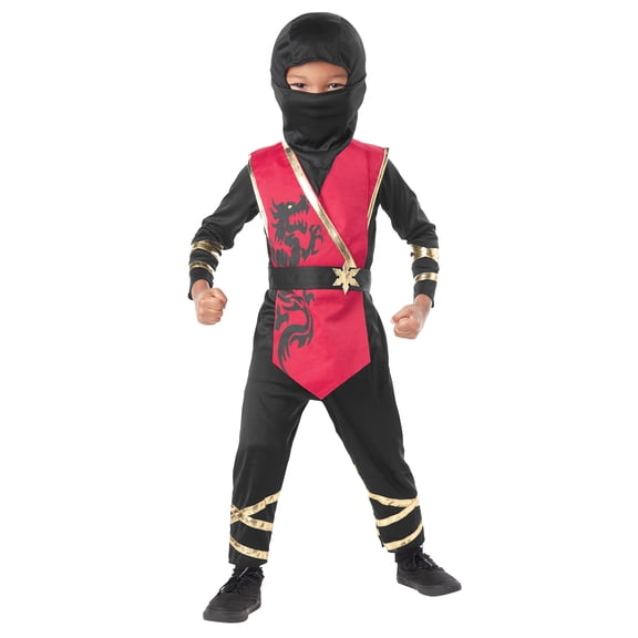 Dragon Ninja Halloween Costume for Toddler, Size 2T, by Way to Celebrate