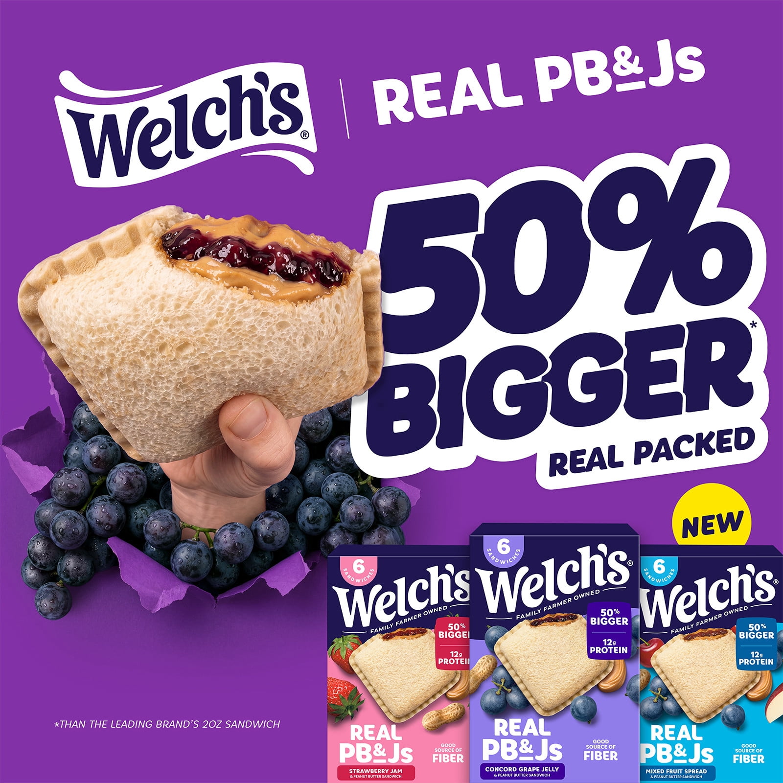 Welch's Real PB&Js 6pk / 3.1oz Concord Grape Jelly & Peanut Butter Sandwich