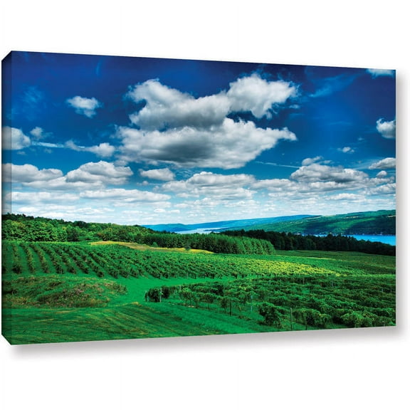 ArtWall Steven Ainsworth "Vineyard and Lake" Gallery-Wrapped Canvas
