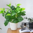 thumbnail image 6 of Artificial Green Potted Plants Simulation Small Faux Plant with Pot Decorative Plastic Greenery for Home Office Desk Tabletop Living Room Hotel Lobby Decoration, 6 of 6