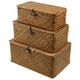 thumbnail image 1 of Canasta de pasos marinos de 3 piezas con caja de almacenamiento de tapa Sundries Organizador de cosméticos para el hogar, 1 of 4