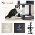 thumbnail image 6 of PEQULTI 61" Modern Cat Tree Large Cat Tower with Ladder and Dual Condos Indoor Dark Gray, 6 of 12