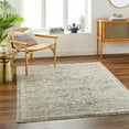 thumbnail image 2 of BoutiqueRugs Issay Traditional Area Rug - Beachhouse, Taupe, Gray - 5'3" x 7'10", 2 of 9