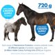 thumbnail image 3 of Suplemento dietético Equa Holistics HealthyGut™ Probióticos para caballos, 3 of 6