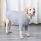thumbnail image 5 of Mascota Otoño Invierno Cuello Alto Camisa De Fondo Slim High Elasticity Dog Stretch Slim Bottoming Shirt Perro Ropa De Abrigo Elástica Con Doble Cuello Alto Para Mascotas Minnieouse PT001642-10, 5 of 6