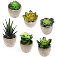 thumbnail image 1 of 6 Pieces Artificial Succulent Plants In Natural Potted Plants Small Artificial Plants Home Decor For Your Home, Office, 1 of 6