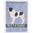 thumbnail image 1 of Carolines Treasures BB8331GF Landseer Welcome Flag Garden, 1 of 3