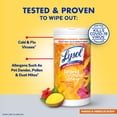 thumbnail image 3 of LYSOL® Disinfecting Wipes - Brand New Day™ Mango & Hibiscus 80 ct., 3 of 11