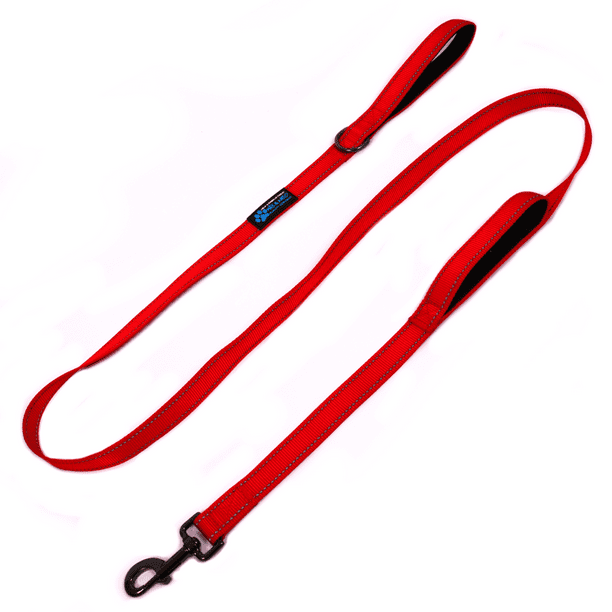 Max and Neo Double Handle Dog Leash We Donate a Leash to a Dog Rescue