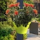 thumbnail image 3 of Macetas de plástico para interiores y exteriores, para balcones, bajantes, para plantar verduras, cestas verdes, jardineras grandes de pared, macetas pequeñas para hoteles., 3 of 7