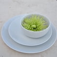 thumbnail image 4 of Ten Strawberry Street Royal Coupe - 6 Inch Cereal Bowl - Set Of 6, 4 of 4