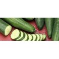 thumbnail image 1 of GSDWIUEW Emelya Cucumber Seeds – Self-Pollinating, Vegetable for Planting, 1 of 6