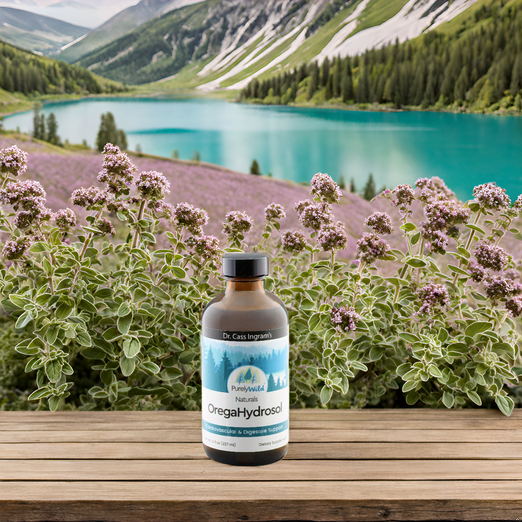 Dr. Cass Ingram's OregaHydrosol - Wild Mediterranean Oregano Juice for Immune Support, Respiratory & Digestive Health