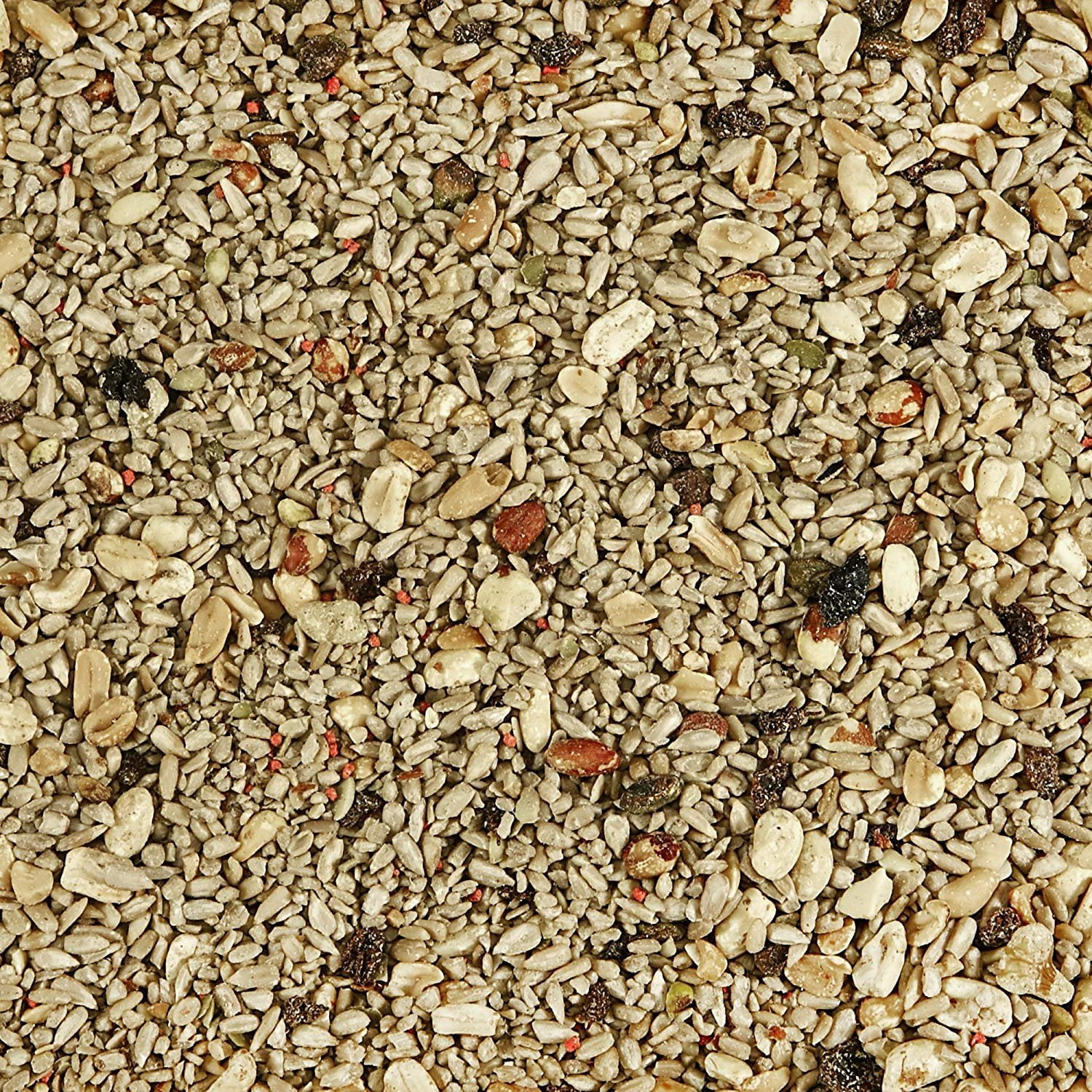 Kaytee Nut & Raisin Blend - 5 lb