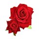 thumbnail image 1 of Flor de rosa Clip de pelo Peine Flamenco Bailarina Flor 3D Rosas rojas Accesorios para el cabello de flores Pieza para niñas Mujeres Novia Boda Horquillas Sombreros Pasador Herramientas de peinado Acc, 1 of 5