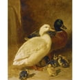 thumbnail image 2 of John Frederick Herring Snr. 12x14 Black Ornate Wood Framed Double Matted Museum Art Print Titled: Ducks and Ducklings (1851), 2 of 5