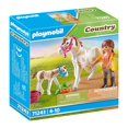 thumbnail image 4 of Playmobil 71243 Country Horse with Foal Building Set, 4 of 5
