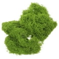 thumbnail image 2 of 1 bolsa de musgo artificial para manualidades, musgo falso, planta en maceta, musgo falso, maceta de interior, musgo falso, 2 of 7