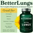 thumbnail image 3 of Betterbrand BetterLungs Lung Support Supplement with NAC, Mullein Leaf for Smokers, Respiratory Health Formula with Elderberry, Vitamin D, Ginseng, Reishi Mushroom - 60 Capsules - Pack of 1, 3 of 10