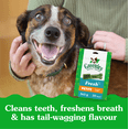 thumbnail image 3 of Greenies Fresh PETITE Oral Care Natural Dental Adult Dog Treats, 3 of 14