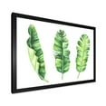 thumbnail image 2 of Designart 'Tropical Banana Leaves Set On White' Farmhouse Framed Art Print, 2 of 4