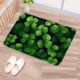 thumbnail image 5 of Saint Patrick's Day Non-Slip Polyester Outdoor Carpet Bath Rug Door Mat - Machine Washable, 5 of 6