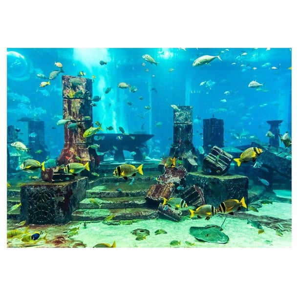 1x HD Fish Tank Background Ornament 3D Landscape Poster Sticker Aquarium  Decor