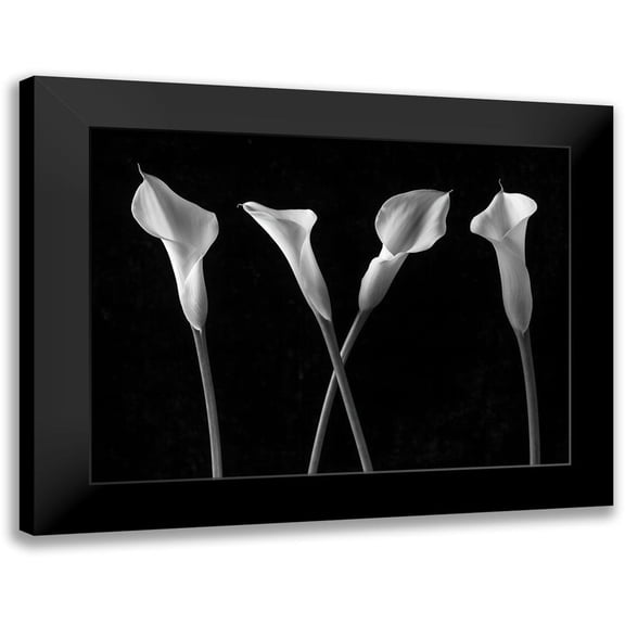 Frank, Assaf 14x12 Black Modern Framed Museum Art Print Titled - Calla lilies in a row