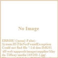 thumbnail image 2 of Meyda Tiffany 169160 Craftsman Prime 2 Light 16" Wide Semi-Flush Ceiling Fixture -, 2 of 7