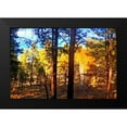 thumbnail image 2 of Tenoever, William 18x13 Black Modern Framed Museum Art Print Titled - Greer in Fall 10, 2 of 5