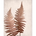 thumbnail image 2 of Bailey, Ann 20x24 Gold Ornate Wood Framed with Double Matting Museum Art Print Titled - Copper Pink Ferns 1, 2 of 4