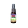 thumbnail image 1 of Catnip Spray 81.5ml Menta Gatuna Calmante Variado Gato Kong KONG CCS, 1 of 3