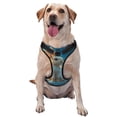 thumbnail image 1 of Saiise Cute Angel Winged Rabbit Print Dog Harness and Leash Set, No Pull Soft Mesh Pet Harness, Reflective Adjustable Puppy Vest for Small Medium Large Dogs, Cats-X-Large, 1 of 6