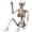 1pcs, variant on 15.8in Halloween Skeleton Decoration, Posable Skeleton Figure with Movable Joints, Full Body Skull Prop for Outdoor Yard, Haunted House Party and Spooky Home Decor