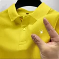 thumbnail image 3 of Camiseta de manga corta con solapa de verano para oficina, estilo clásico, estilo polo, para hombre, para negocios, ocio, transpirable, 3 of 5
