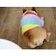 thumbnail image 4 of Greeniant Suéter de invierno de poliéster para mascotas, portátil, reutilizable, lavable, de punto, bonito, térmico, cálido, transpirable, Ropa para mascotas SG, 4 of 6