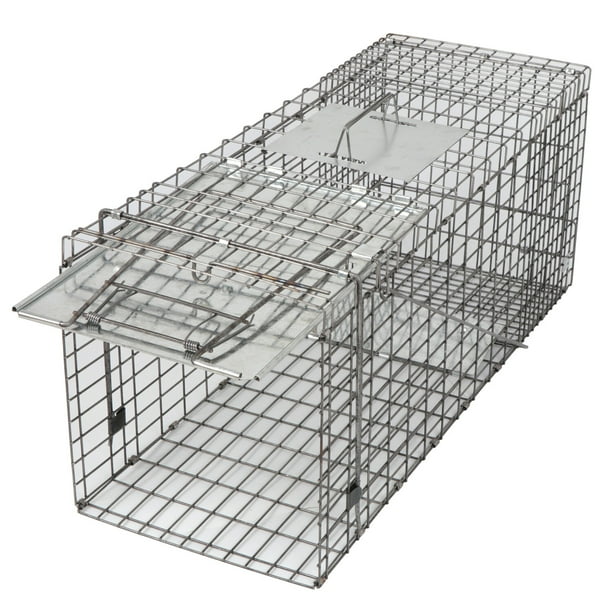 ZENY 32'' Humane Live Animal Trap Cage for Raccoons, Cats, Opossums