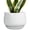 White, variant on Ceramic Planter 7 Inch - Flower Pots for Indoor Plants, Round Planter with Drainage and Ceramic Tray, Modern Plant Pot, Bathroom Decor, Teacher Gifts, Red