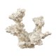 thumbnail image 1 of Anémona Decorativa para Acuario, Nido, Figura Decorativa para Acuario, Refugio para Peces, Cueva de Cría, Escondite para Cría en Acuario Estilo C, 1 of 7
