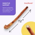thumbnail image 4 of PETSWORLD Premium 12" Extra Thick Bully Sticks (12 Count) - All-Natural, Odor-Free Dog Chews for Large Dogs | Long-Lasting, 100% Digestible Beef Pizzle Treats, 4 of 8