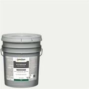 ColorPlace Exterior Flat Finish Paint, White, 5 Gallon
