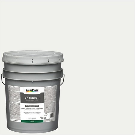 ColorPlace Exterior Paint, Flat Finish, White, 5 Gallon