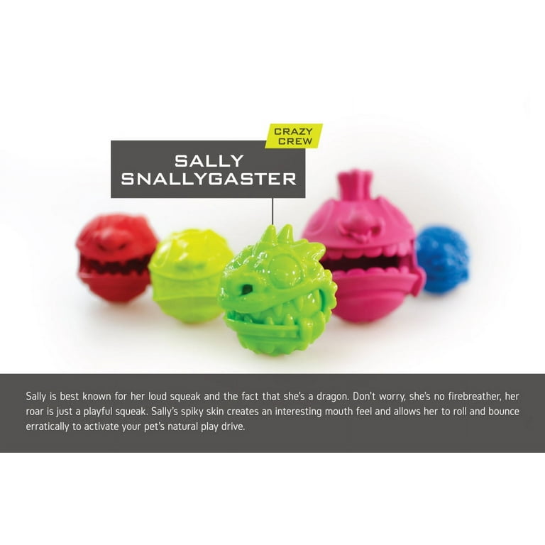 Hyper Pet Crazy Crew Dog Toy, Sally Snallygaster